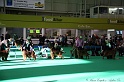 Crufts2011 022